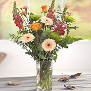 Indian Summer Gift Box