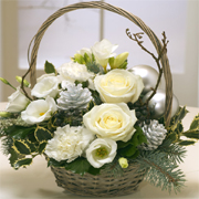 Sparkle Petit Basket