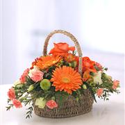 Clementine Vivid Basket