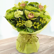 Emerald Green Hand Tie Aqua Pack