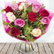 Endless Love Aqua Pack