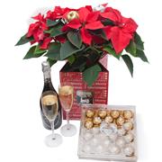 Poinsettia, Fererro Roche Chos and Prosecco 75cl