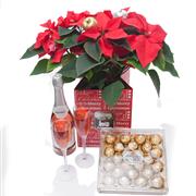 Poinsettia, Ferrero Roche&#39; Chocs and Rose&#39; Wine 75cl