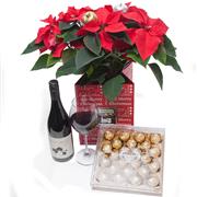 Poinsettia, Fererro Roche Chocs and Merlot Wine 75cl