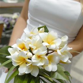 fwthumbshutterstock_14166019.jpg