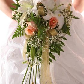fwthumbshutterstock_15757456.jpg