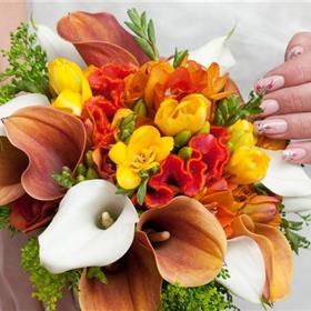 fwthumbshutterstock_64791559.jpg