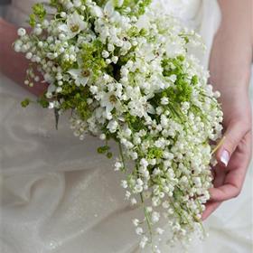 fwthumbshutterstock_80784355.jpg