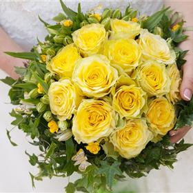 fwthumbshutterstock_80784358.jpg