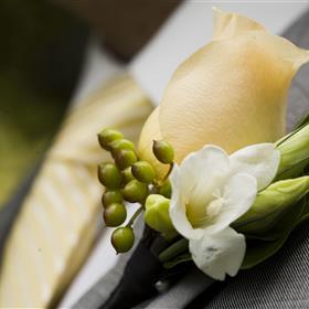 fwthumbshutterstock_84889141.jpg
