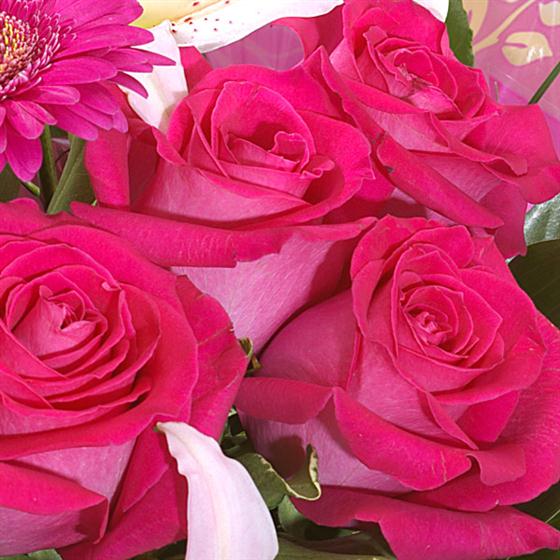 Time4 Rasberry Ripple Rasberry Ripple Watford Junction Flowers Florist